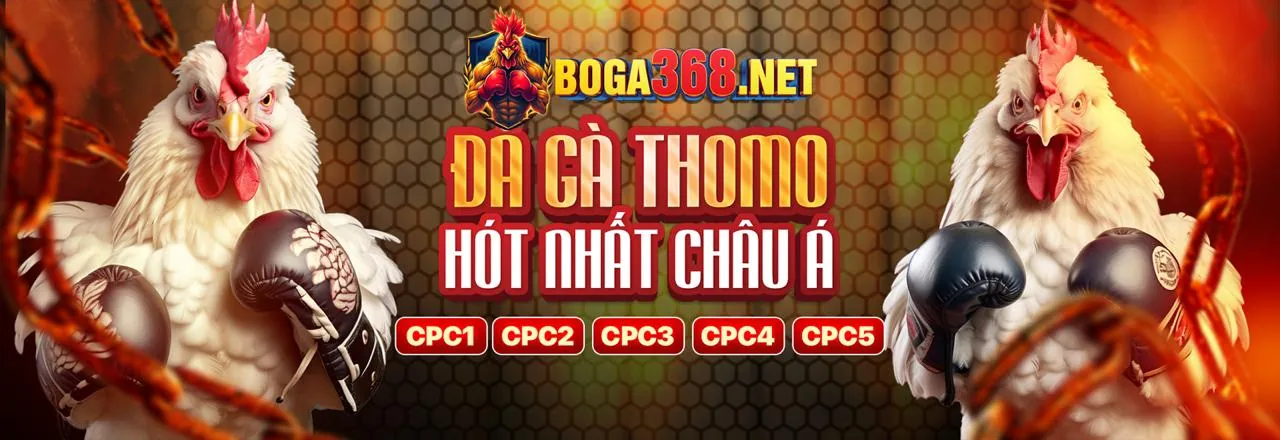 Đá gà trực tuyến kịch tính tại miso88 app